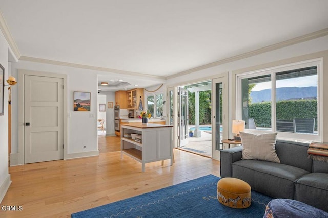 living room with ornamental molding, a mountain view, and light hardwood / wood-style flooring