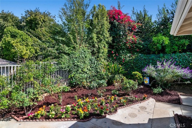 view of yard featuring fence and a patio area