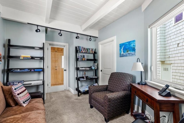 interior space featuring rail lighting, light colored carpet, wood ceiling, and beam ceiling