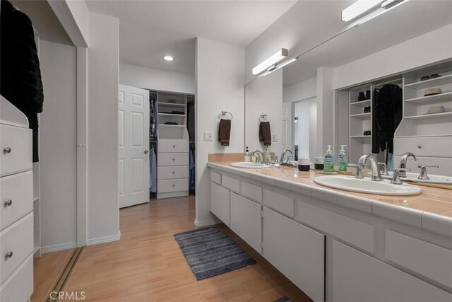 bathroom with wood-type flooring and vanity