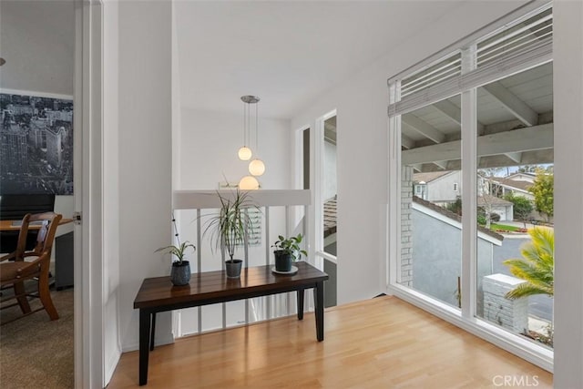 interior space featuring wood finished floors