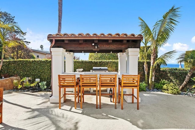 view of patio featuring area for grilling and an outdoor bar