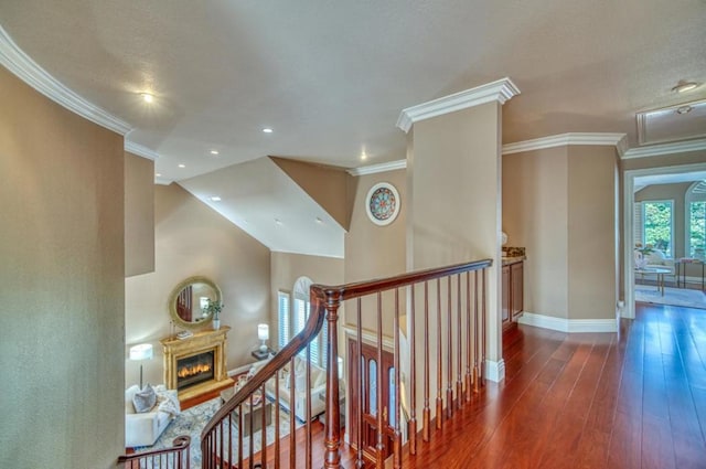 hallway with crown molding and dark hardwood / wood-style flooring