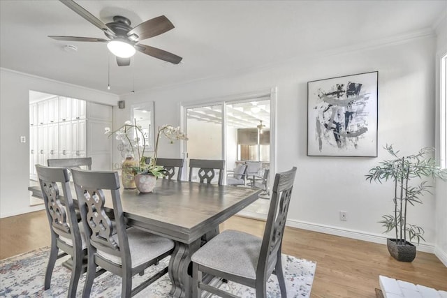 dining room with crown molding, ceiling fan, and light wood-type flooring