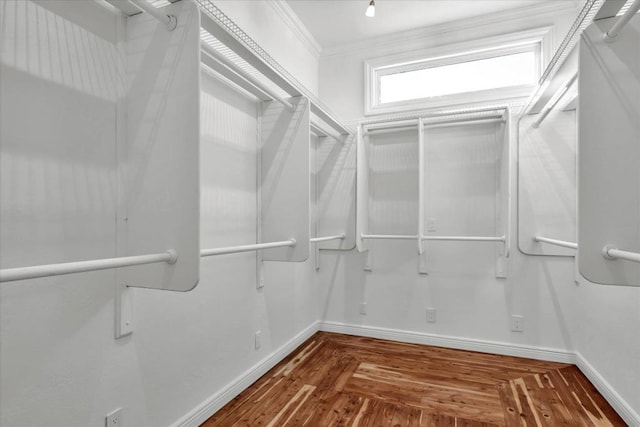 spacious closet featuring dark hardwood / wood-style floors