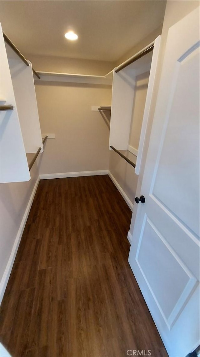 spacious closet featuring dark wood finished floors