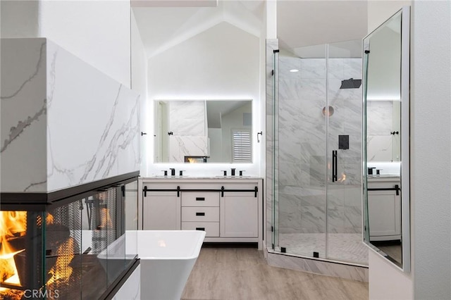 bathroom with vanity, hardwood / wood-style flooring, a fireplace, and independent shower and bath