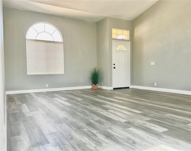 foyer entrance featuring hardwood / wood-style floors and a wealth of natural light