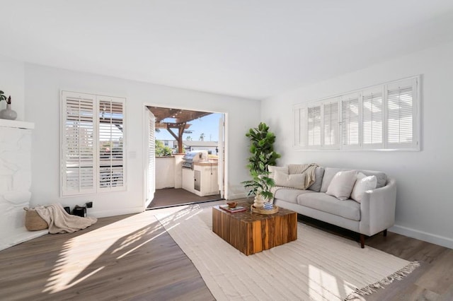 living room with hardwood / wood-style flooring