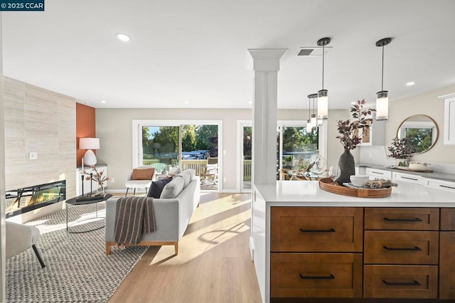 living room with light hardwood / wood-style flooring, a fireplace, and plenty of natural light