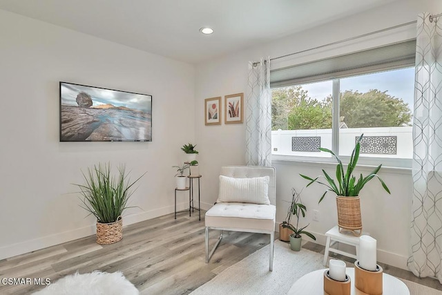 living area featuring light hardwood / wood-style floors