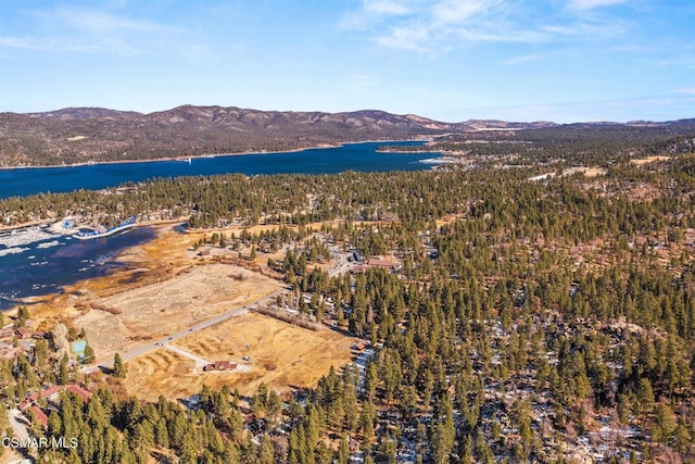 drone / aerial view featuring a water and mountain view