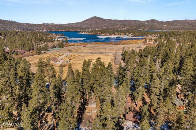 drone / aerial view featuring a water and mountain view