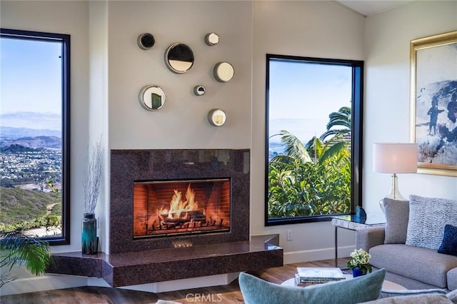 interior space featuring hardwood / wood-style flooring and a high end fireplace