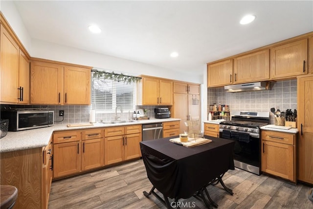 kitchen featuring tasteful backsplash, sink, wood-type flooring, and stainless steel appliances