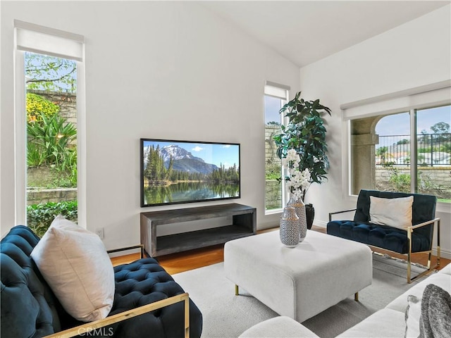 living room with vaulted ceiling and light wood-type flooring