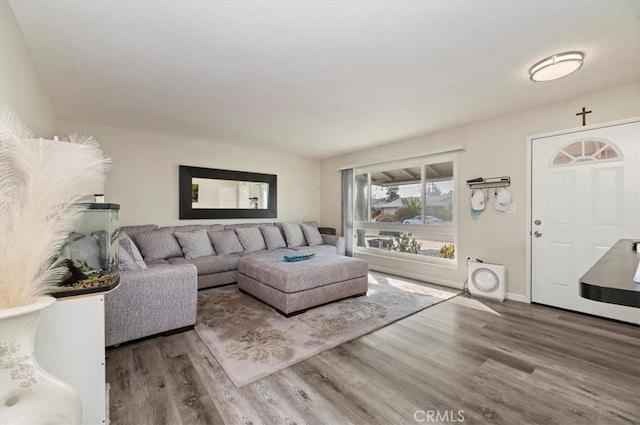 living room with hardwood / wood-style floors