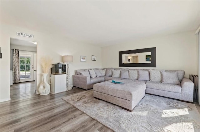 living room featuring hardwood / wood-style flooring