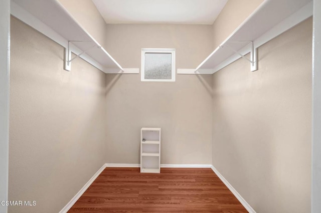 spacious closet with wood-type flooring