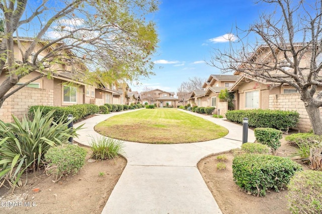 view of community with a yard