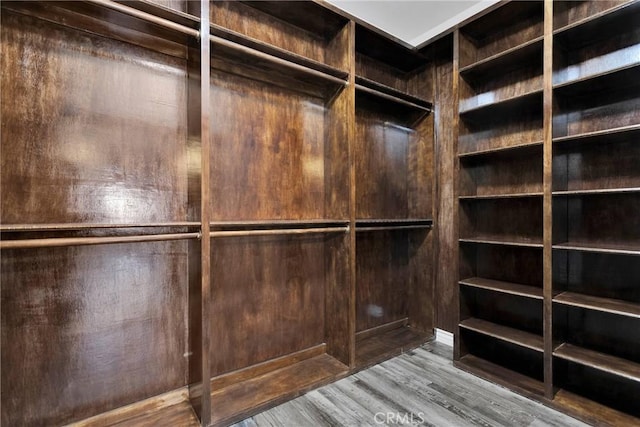 walk in closet with hardwood / wood-style floors