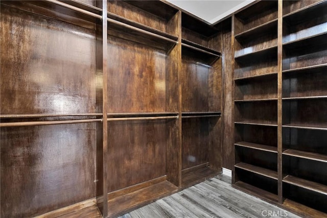 spacious closet featuring wood finished floors
