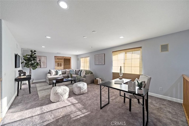 carpeted living room with a textured ceiling