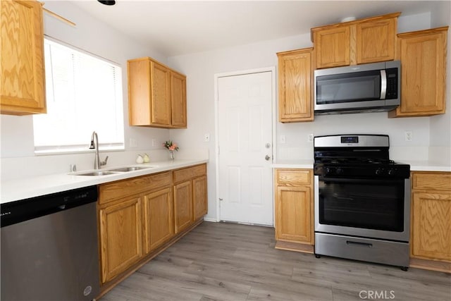 kitchen with sink, light hardwood / wood-style flooring, and appliances with stainless steel finishes