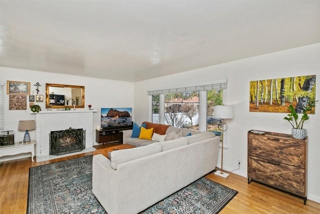 living room featuring a fireplace and wood-type flooring