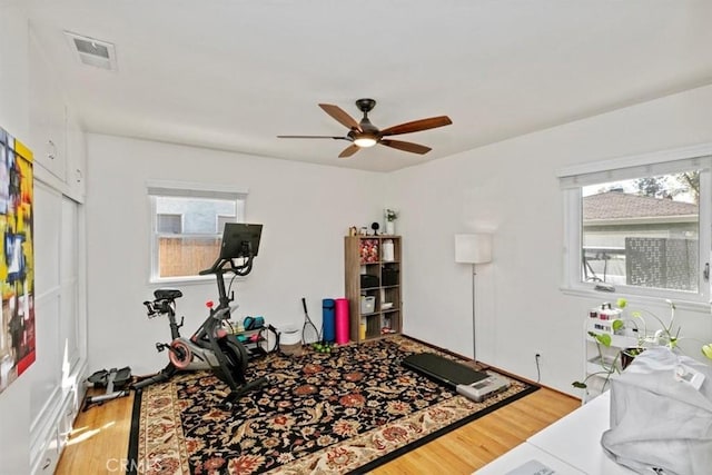 workout room featuring hardwood / wood-style flooring and ceiling fan