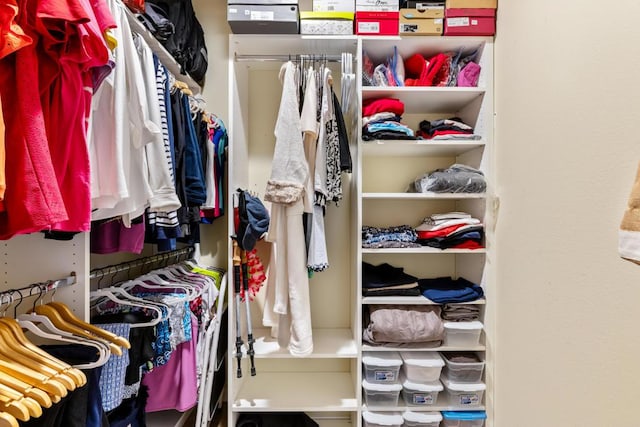 view of walk in closet