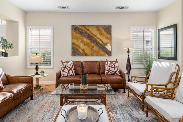 living room featuring hardwood / wood-style floors and a wealth of natural light