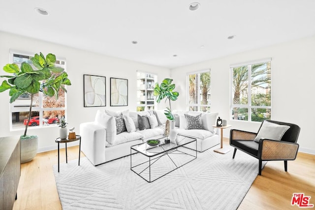 living room featuring light hardwood / wood-style floors