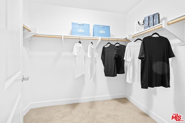 walk in closet featuring light colored carpet