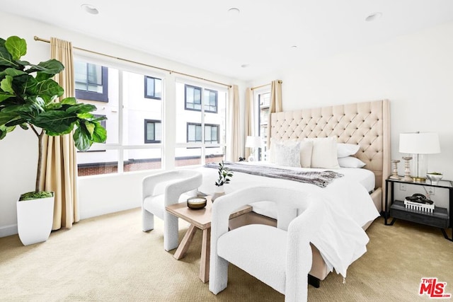 view of carpeted bedroom