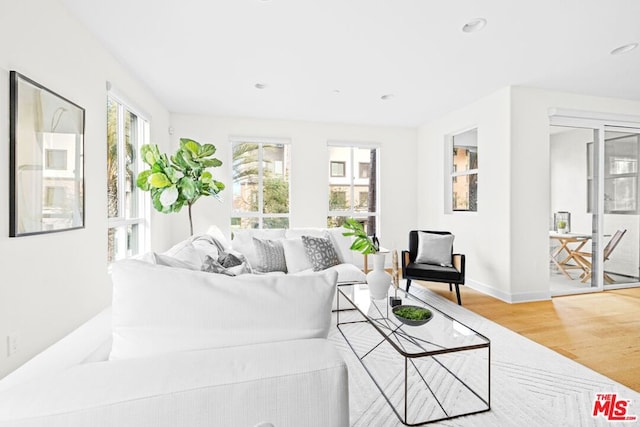 living room featuring light hardwood / wood-style floors