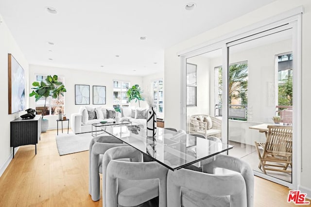 dining room featuring light hardwood / wood-style flooring