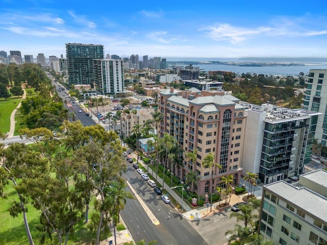 aerial view with a water view