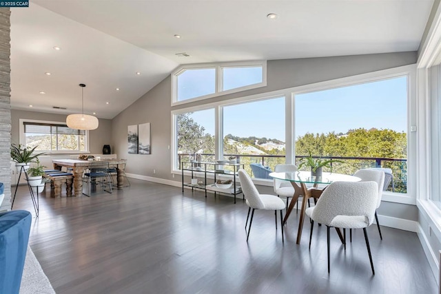 dining area with lofted ceiling and dark hardwood / wood-style floors