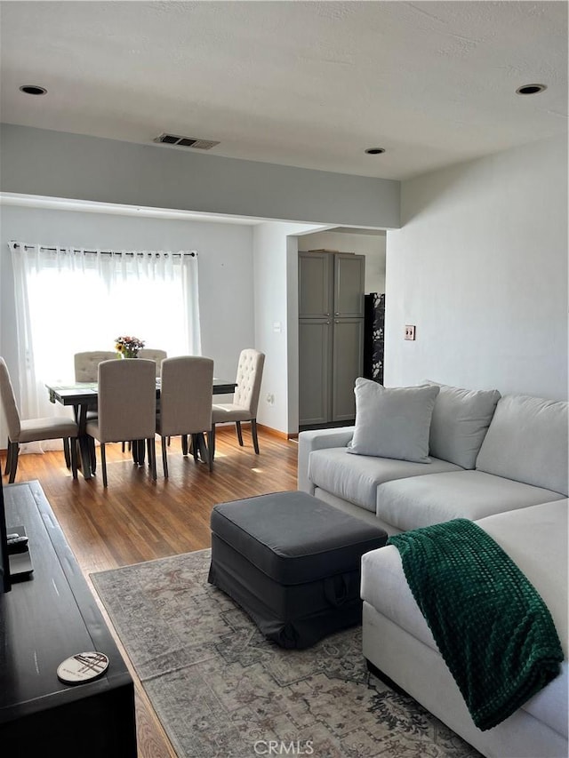 living room featuring light hardwood / wood-style flooring