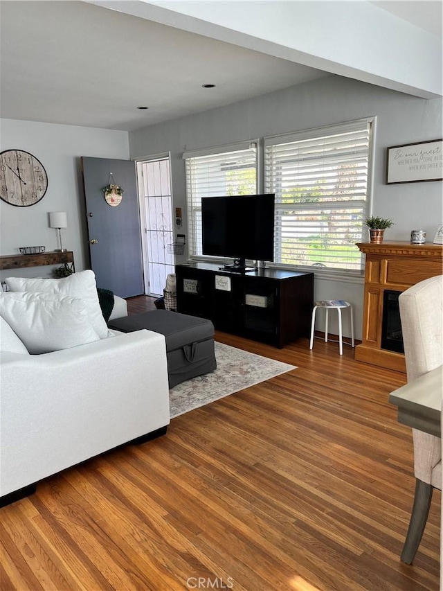 living room featuring hardwood / wood-style flooring