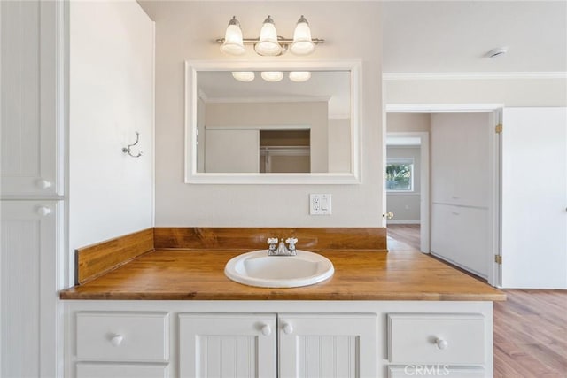 bathroom featuring ornamental molding, vanity, and wood-type flooring