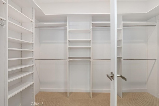 spacious closet with light colored carpet