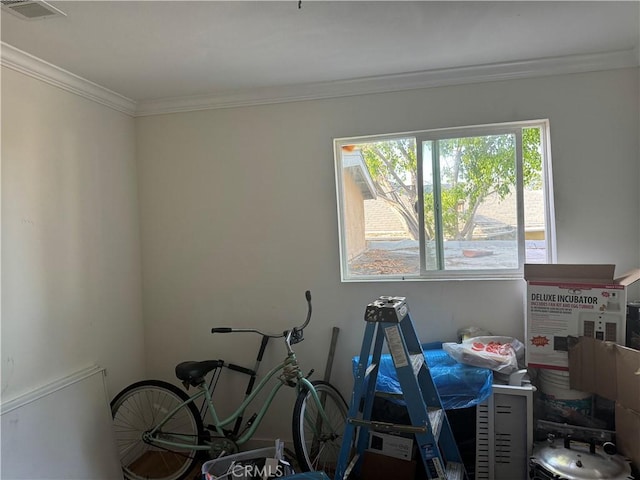 misc room with crown molding