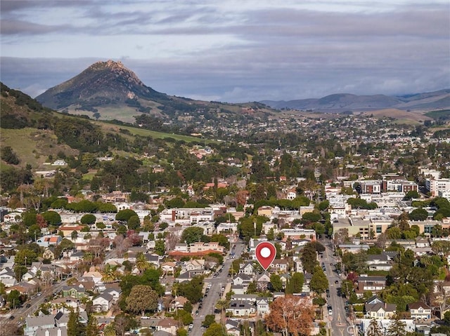 bird's eye view featuring a mountain view