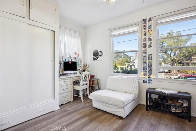 sitting room with hardwood / wood-style floors