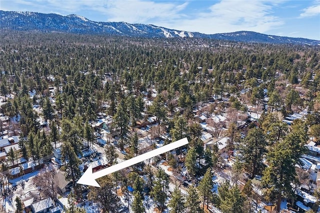 birds eye view of property featuring a mountain view