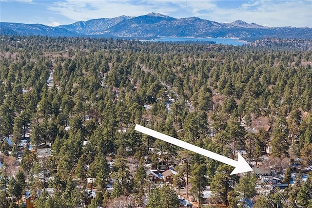 birds eye view of property featuring a mountain view