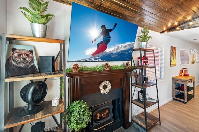 details with hardwood / wood-style floors and wooden ceiling