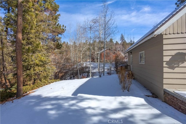 view of yard covered in snow